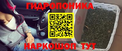винт Гусиноозёрск