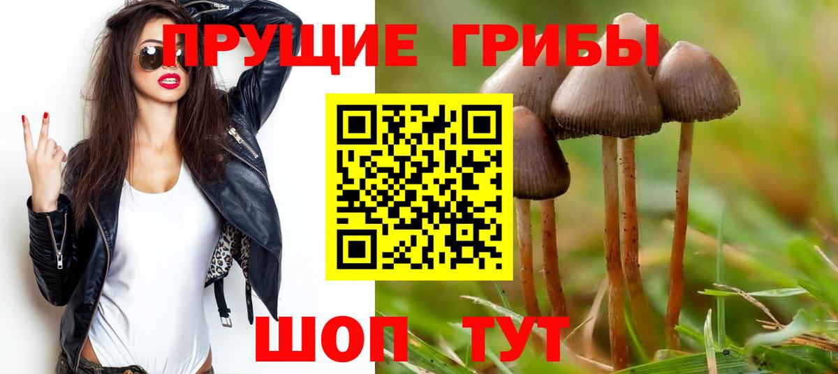Галлюциногенные грибы ЛСД Заинск